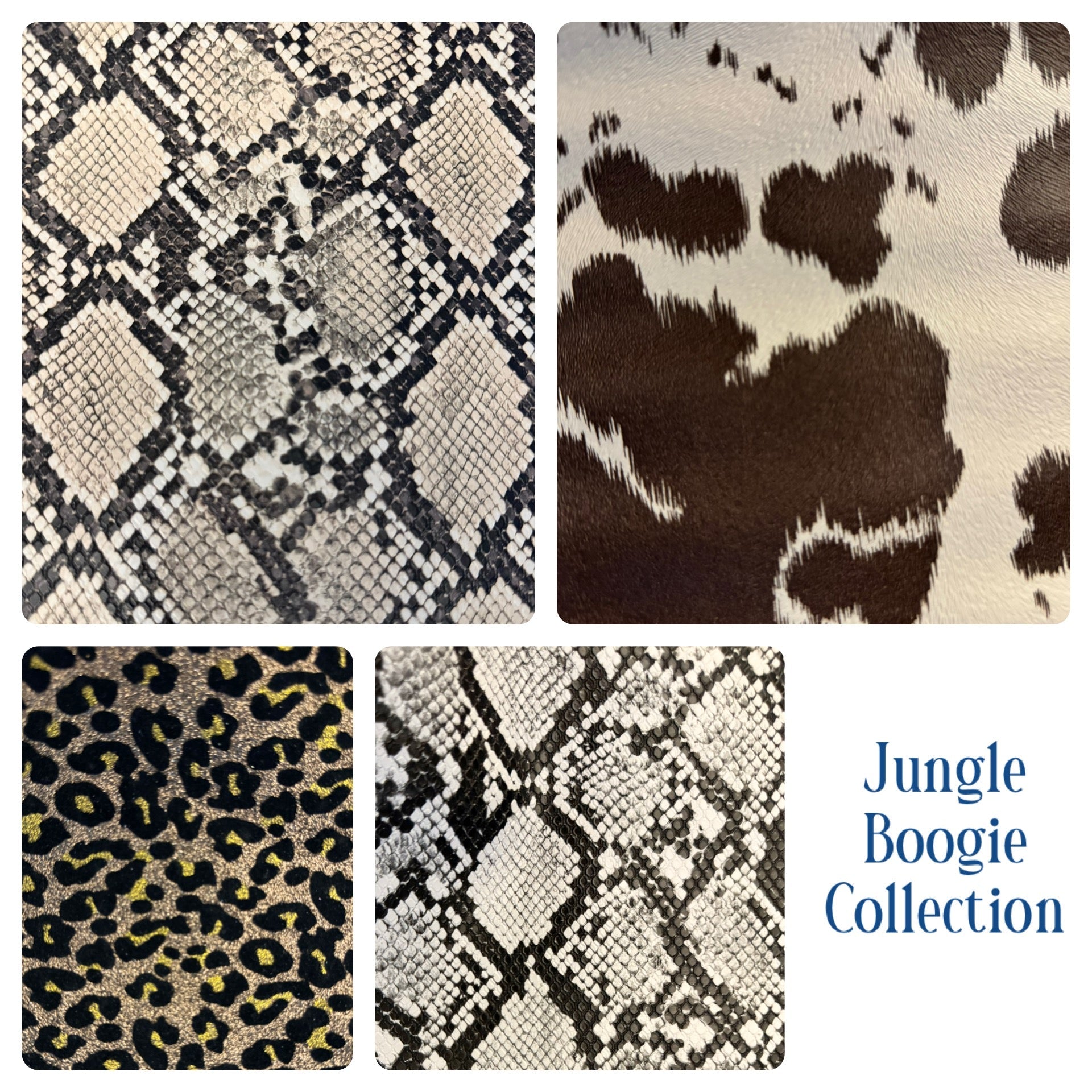 Jungle Boogie Collection